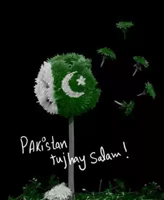 Play Pakistan Independence Day