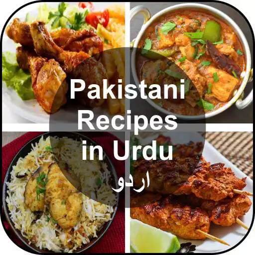 Free play online Pakistani Recipes in Urdu APK