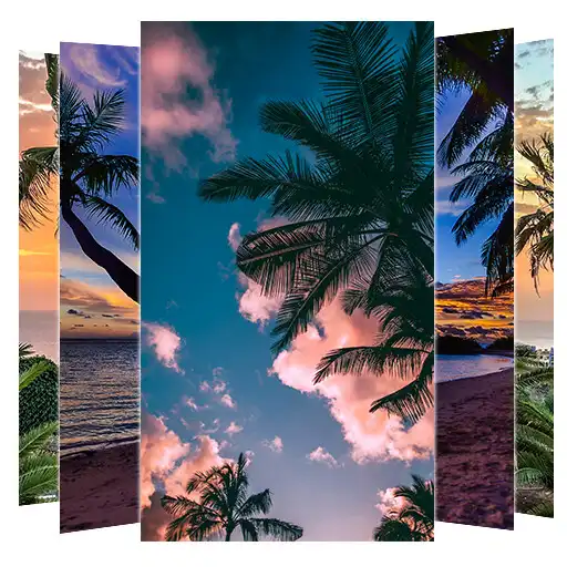 Play Palm Tree Wallpapers and Background APK