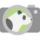 Free play online PandaCam APK