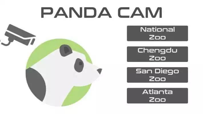 Play PandaCam