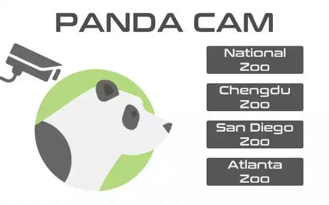 Play PandaCam