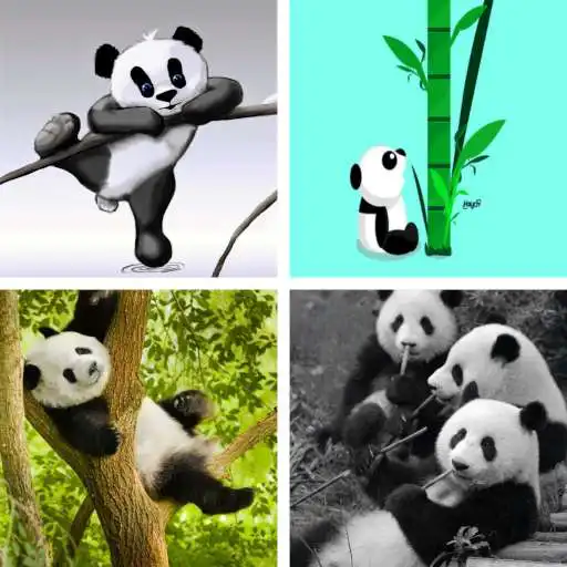 Play Panda HD Wallpapers APK