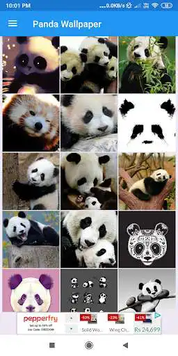 Play Panda HD Wallpapers  and enjoy Panda HD Wallpapers with UptoPlay