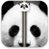 Free play online Panda Zipper Screen APK