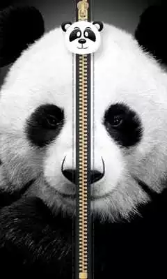 Play Panda Zipper Screen