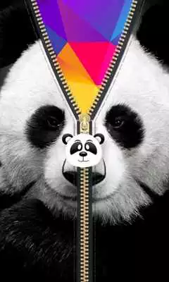 Play Panda Zipper Screen