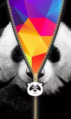 Play Panda Zipper Screen