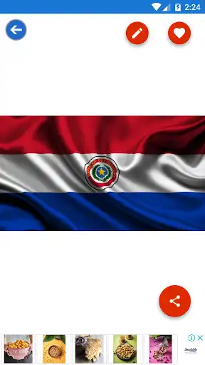 Play Paraguay Flag Wallpaper: Flags and Country Images as an online game Paraguay Flag Wallpaper: Flags and Country Images with UptoPlay