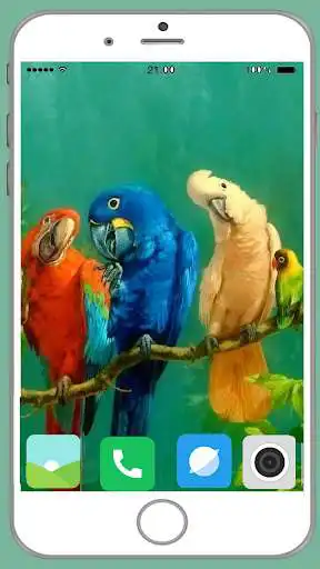 Play Parrot Full HD Wallpaper  and enjoy Parrot Full HD Wallpaper with UptoPlay