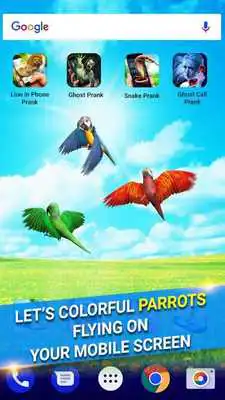 Play Parrot in Phone Prank