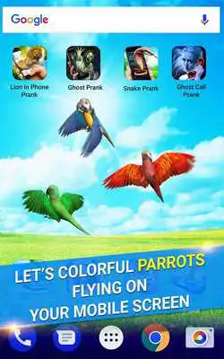 Play Parrot in Phone Prank