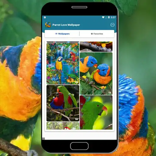 Play Parrot Love Wallpaper  and enjoy Parrot Love Wallpaper with UptoPlay