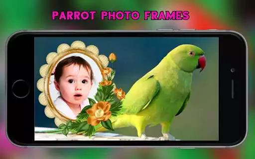 Play Parrot Photo Frames  and enjoy Parrot Photo Frames with UptoPlay