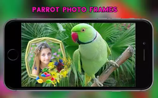 Play Parrot Photo Frames as an online game Parrot Photo Frames with UptoPlay