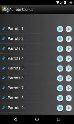 Play Parrots Bird Sounds Ringtones