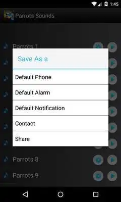 Play Parrots Bird Sounds Ringtones