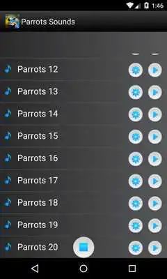 Play Parrots Bird Sounds Ringtones