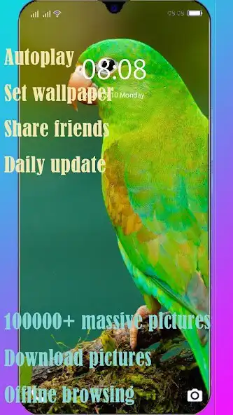 Play Parrot Wallpaper  Puzzle/Chess/Sudoku Games  and enjoy Parrot Wallpaper  Puzzle/Chess/Sudoku Games with UptoPlay