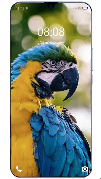 Play Parrot Wallpaper  Puzzle/Chess/Sudoku Games as an online game Parrot Wallpaper  Puzzle/Chess/Sudoku Games with UptoPlay