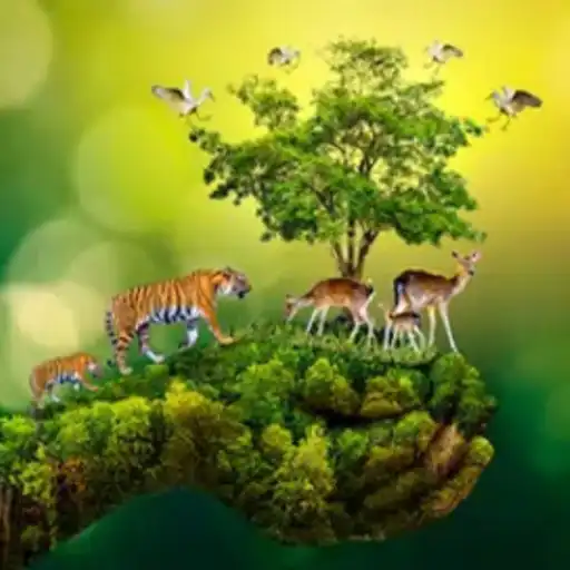 Play Passion for Wildlife APK