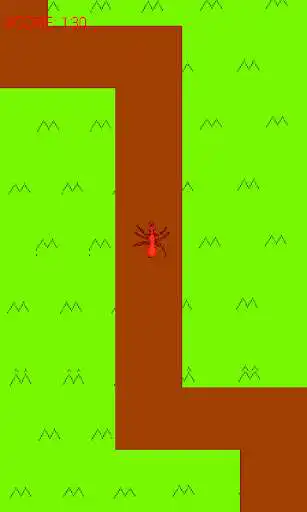 Play Path of Ants