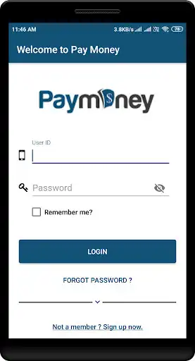 Play Paymoney as an online game Paymoney with UptoPlay