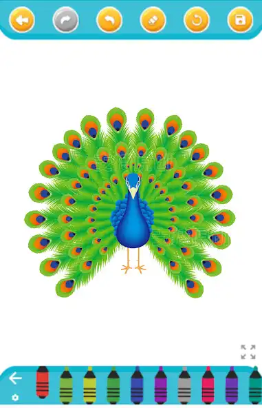 Play Peacock Coloring Book as an online game Peacock Coloring Book with UptoPlay