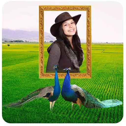 Play Peacock Photo Frame APK