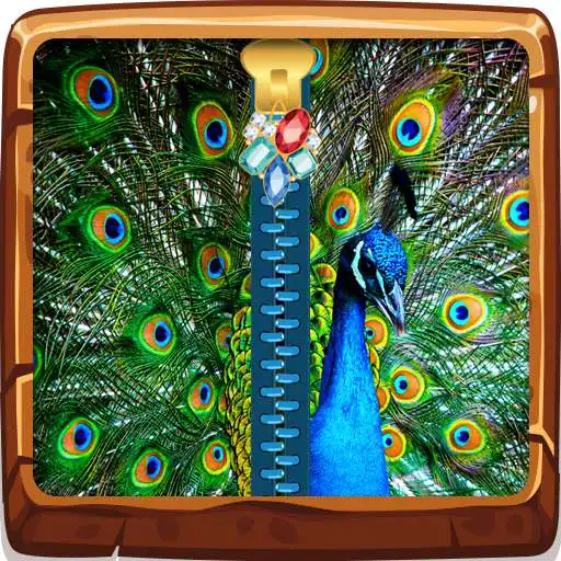 Free play online Peacock Zipper Lock Screen APK