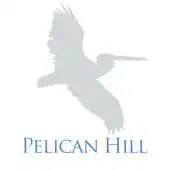 Free play online Pelican Hill Homes App APK