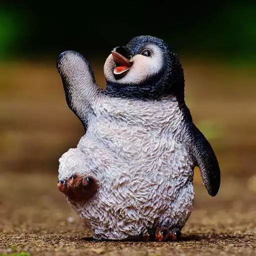 Run free android online Penguin Wallpaper APK