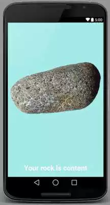 Play Pet Rock (Realistic)