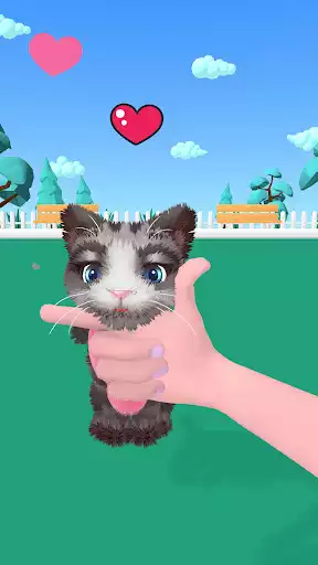 Play Pet Squeeze  and enjoy Pet Squeeze with UptoPlay