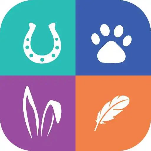 Play Petzie APK