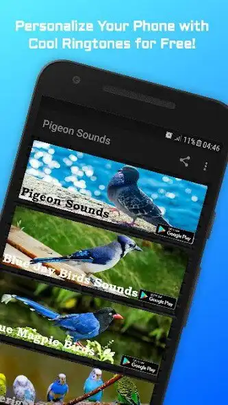 Play Pheasant Sounds  and enjoy Pheasant Sounds with UptoPlay