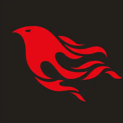 Play Phoenix: learn programming for free APK