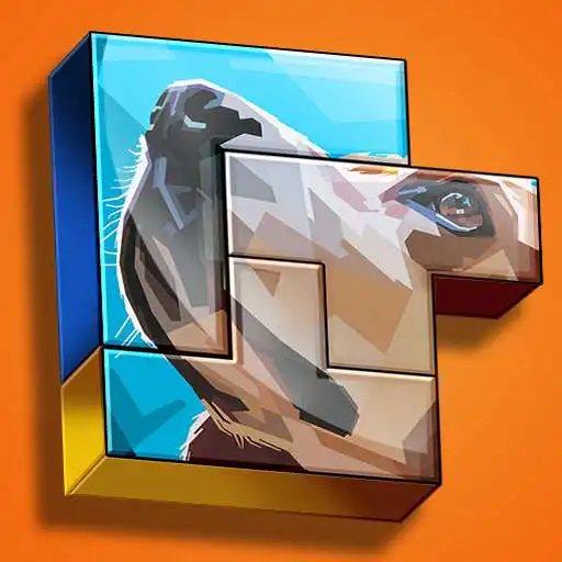 Play Photo Block Puzzle for FREE : Infinite stage APK