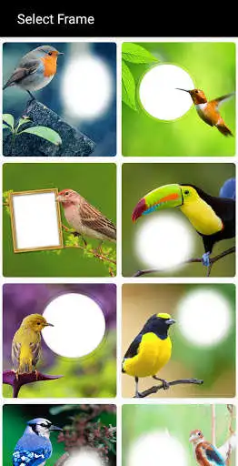 Play Photo Frames - Pic Collage as an online game Photo Frames - Pic Collage with UptoPlay