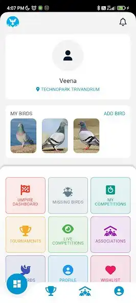 Play Pigeon Circle as an online game Pigeon Circle with UptoPlay