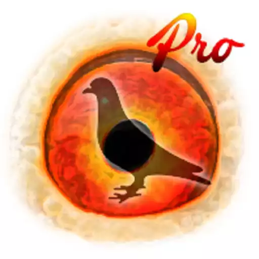 Free play online Pigeon Pedigree Pro APK