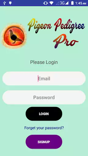 Play Pigeon Pedigree Pro