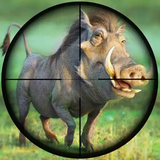 Play Pig Shooting Wild Animals Hunt APK