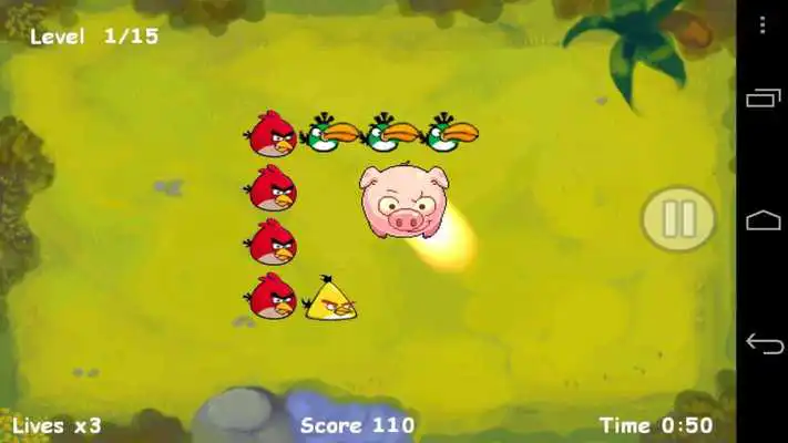 Play Pigs Revenge