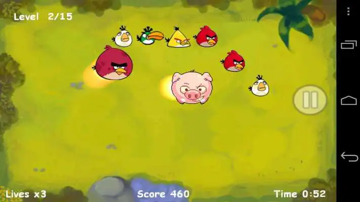 Play Pigs Revenge