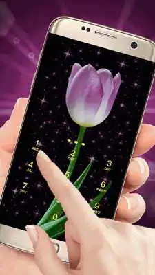 Play Pink Tulip Beautiful Flower