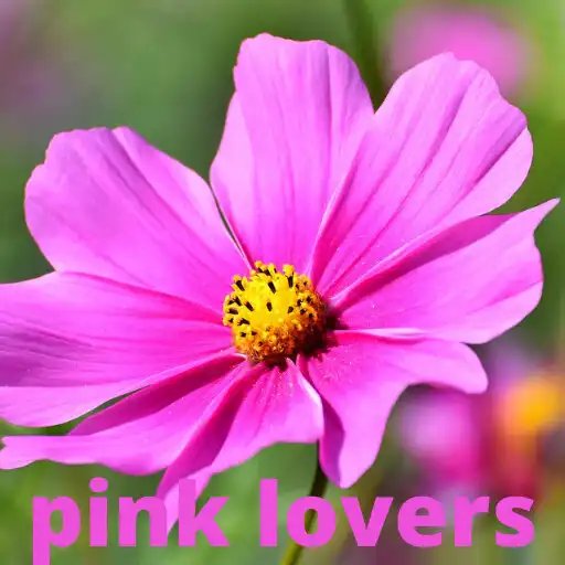 Play Pink wallpapers 2021 APK