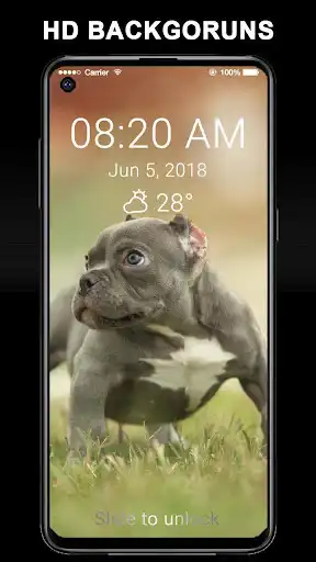 Play Pitbull Dog 2019 Slide Unlock Screen as an online game Pitbull Dog 2019 Slide Unlock Screen with UptoPlay