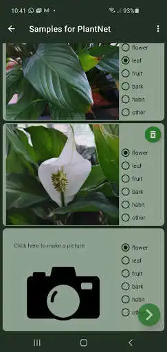 Play Plant guide, with recognition as an online game Plant guide, with recognition with UptoPlay