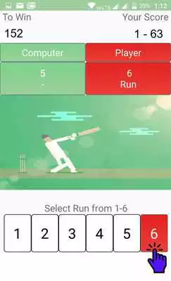 Play Play Cricket Game